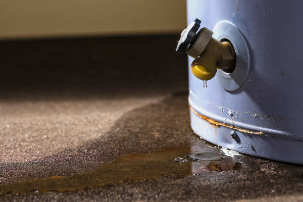 Best Professional water damage repair  in Bad Axe, MI