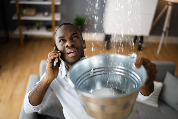 Best Flood restoration services  in Bad Axe, MI