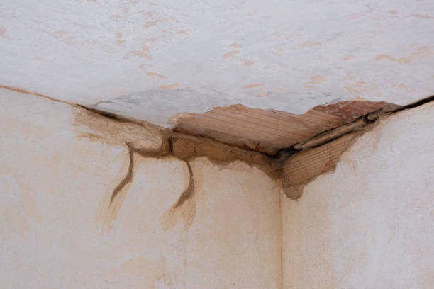 Best Basement water damage restoration  in Bad Axe, MI