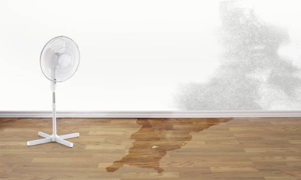 Best 24-hour water damage restoration  in Bad Axe, MI