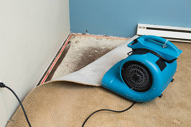 Best 24/7 water damage repair  in Bad Axe, MI